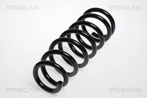 Ressort de suspension TRISCAN 8750 13111