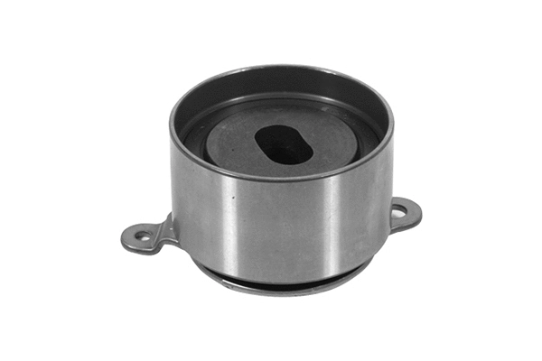 Poulie de tension, courroie crantée SKF Brazil VKM 73201