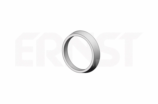 Bague d'étanchéité, tuyau d'échappement ERNST 493918