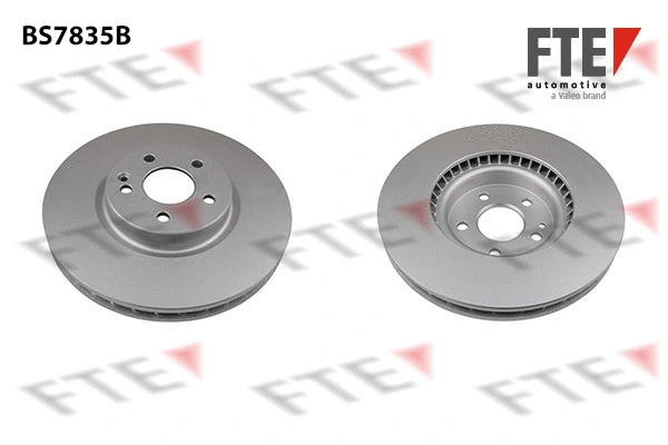 Disque de frein FTE 9081136