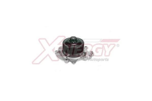 Pompe à eau, refroidissement du moteur AP XENERGY X206802