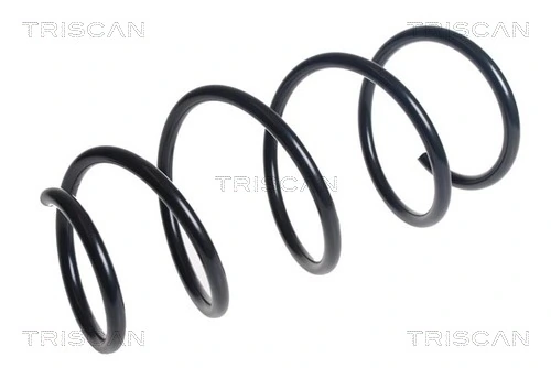 Ressort de suspension TRISCAN 8750 13232