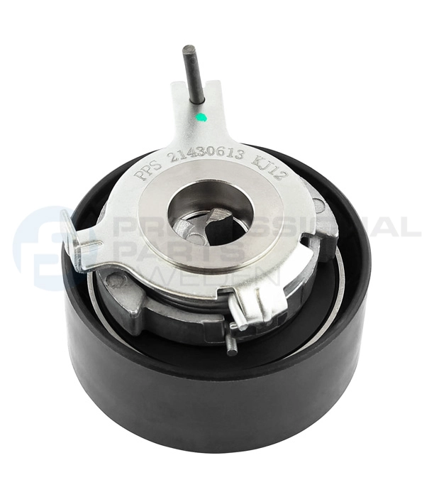 Poulie de tension, courroie crantée Professional Parts 21430613