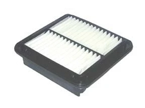 Filtre à air ACDelco Oceania ACA294