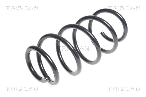 Ressort de suspension TRISCAN 8750 43116