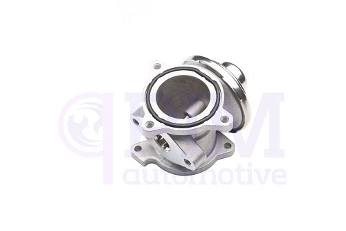 Vanne EGR PIM 40710034