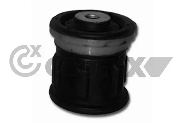 Suspension, corps de l'essieu CAUTEX 080168