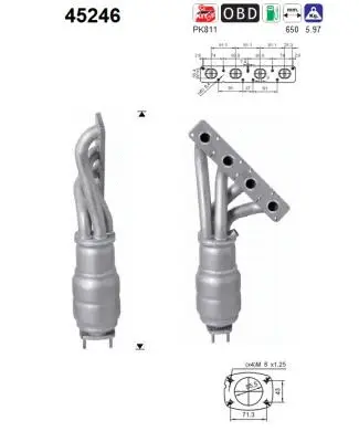 Catalyseur AS 45246