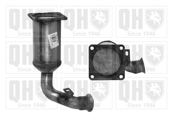 Catalyseur QUINTON HAZELL QCAT91313H