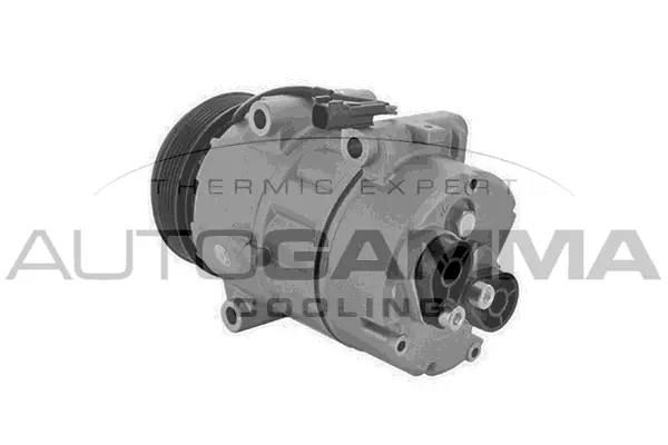Compresseur, climatisation AUTOGAMMA 108333