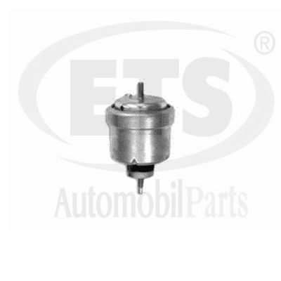 Support moteur ETS 19.ST.913