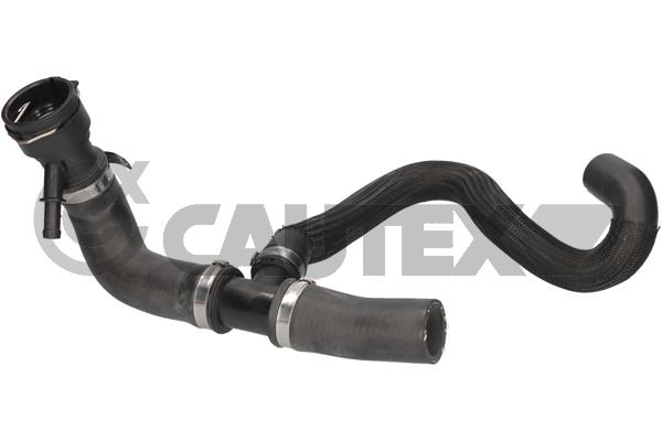 Durite de radiateur CAUTEX 776620