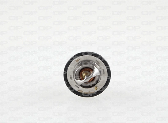 Thermostat, liquide de refroidissement OPEN PARTS TRM1147.00
