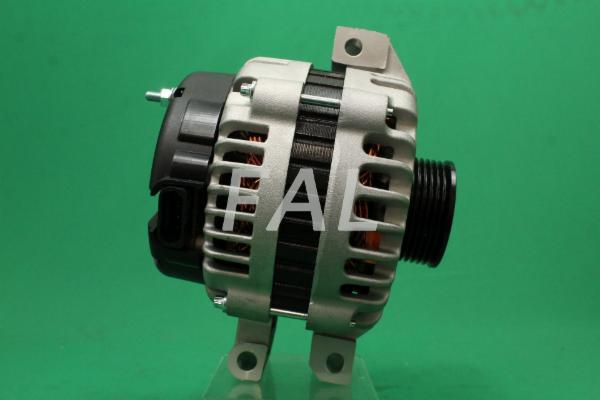 Alternateur FAL Anlasser- und Lichtmaschinenservice F016651/1