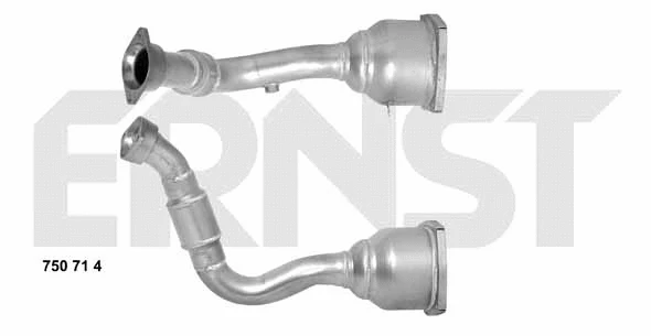 Catalyseur ERNST 750714