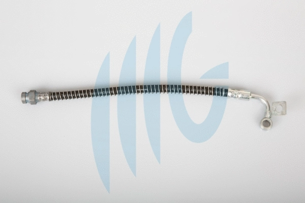 Flexible de frein RICAMBIFLEX GM 02160926