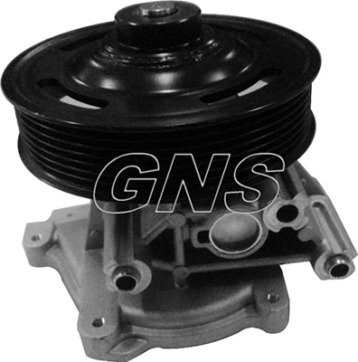 Pompe à eau, refroidissement du moteur GNS YH-F273