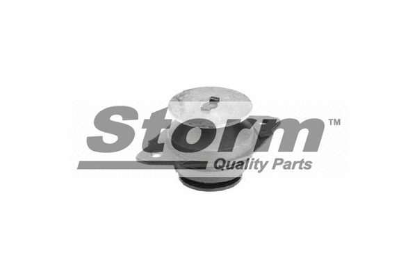Support moteur STORM QUALITY PARTS F2764