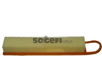 Filtre à air FRAM CA10418