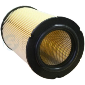 Filtre à air Professional Parts 24344722