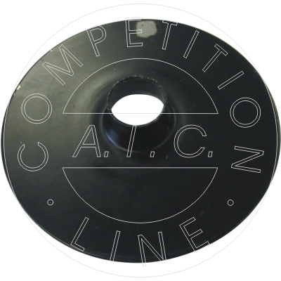 Patin de ressort AIC 53790