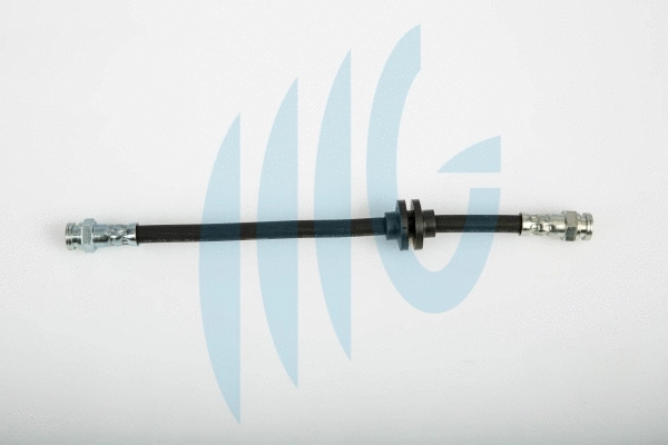 Flexible de frein RICAMBIFLEX GM 02120273