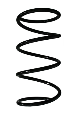Ressort de suspension SPIDAN 49684