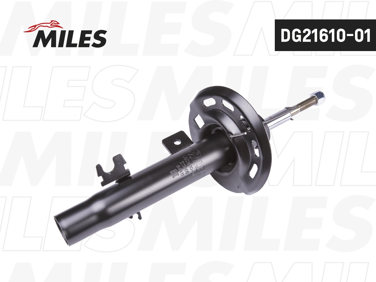 Amortisseur MILES DG21610-01