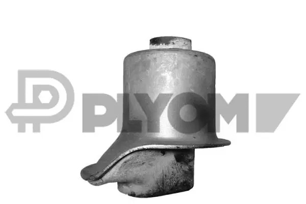 Suspension, corps de l'essieu PLYOM P460008