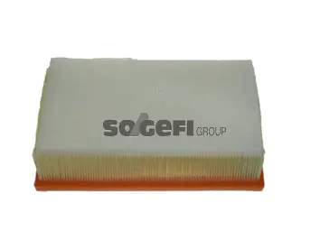 Filtre à air FRAM CA10417