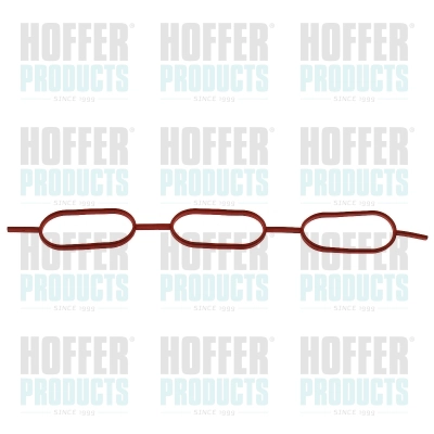 Joint, collecteur d'admission HOFFER 016152