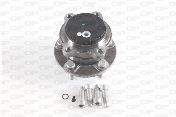 Kit de roulements de roue OPEN PARTS HBK5288.03
