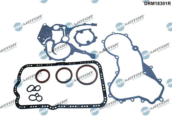 Pochette basse LIZARTE DRM18301R