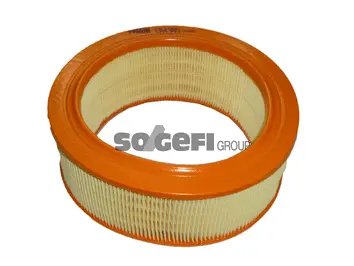 Filtre à air FRAM CA4385