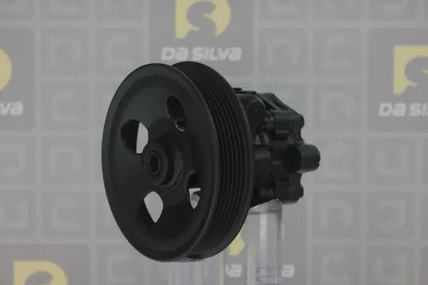 Pompe hydraulique, direction DA SILVA DP3116