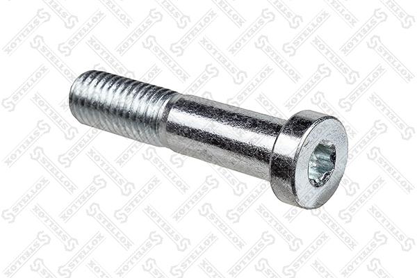 Vis de serrage, suspension articulée/rotule de suspension STELLOX 79-09004-SX