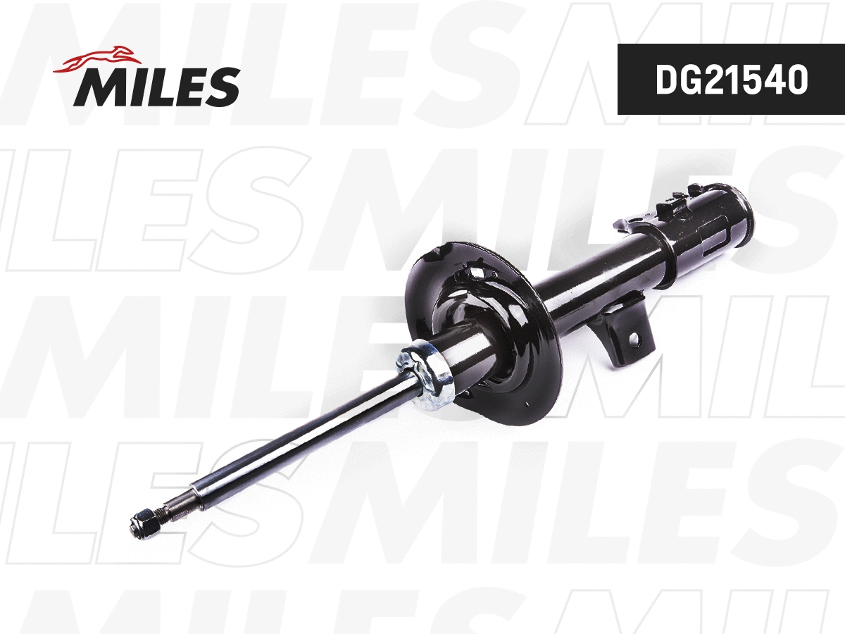 Amortisseur MILES DG21540