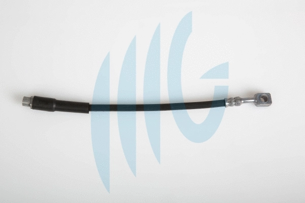 Flexible de frein RICAMBIFLEX GM 02360501