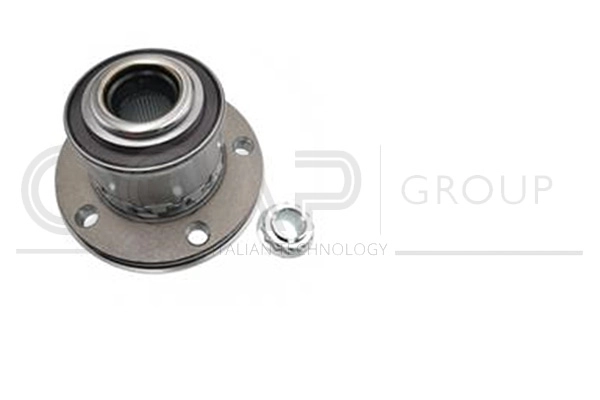 Kit de roulements de roue OCAP 6120261