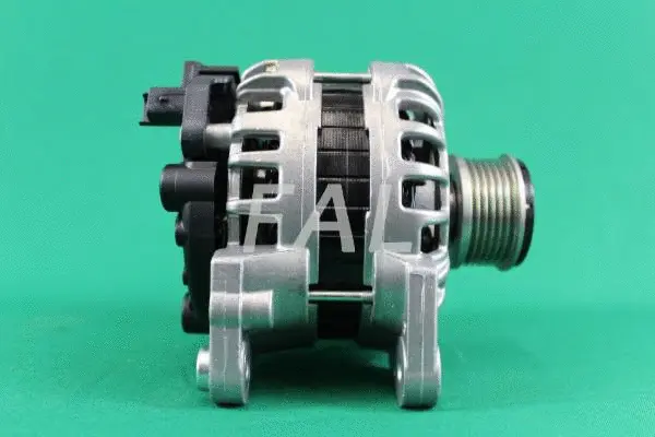 Alternateur FAL Anlasser- und Lichtmaschinenservice F013513/2