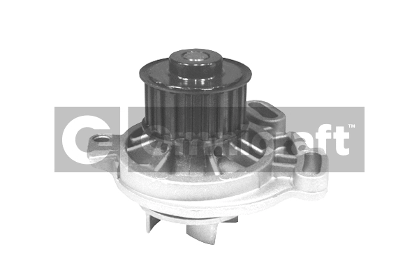Pompe à eau, refroidissement du moteur Omnicraft 2317397