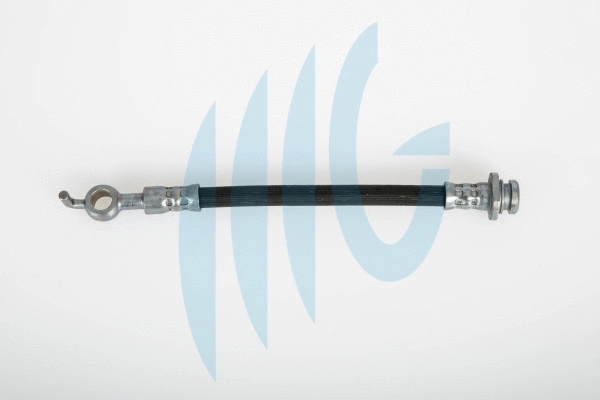 Flexible de frein RICAMBIFLEX GM 02360494