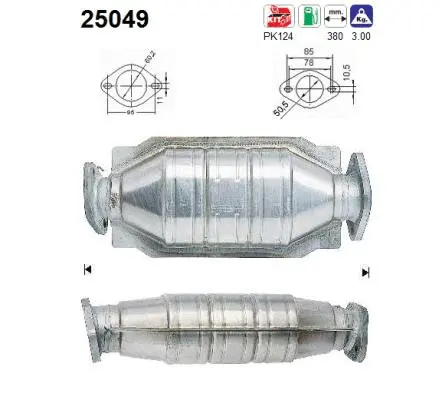 Catalyseur AS 25049
