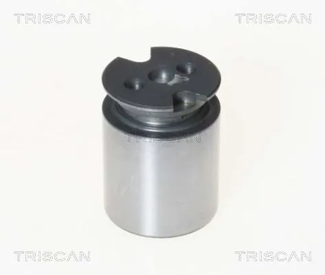 Piston, étrier de frein TRISCAN 8170 233860