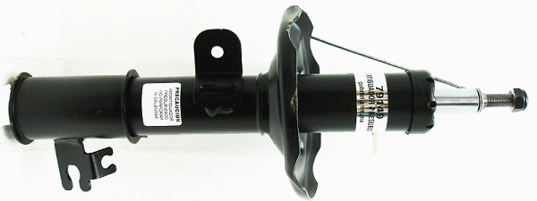 Amortisseur Gabriel-MX 79149