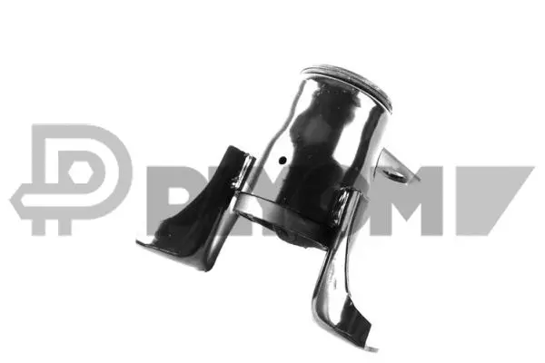 Support moteur PLYOM P760478