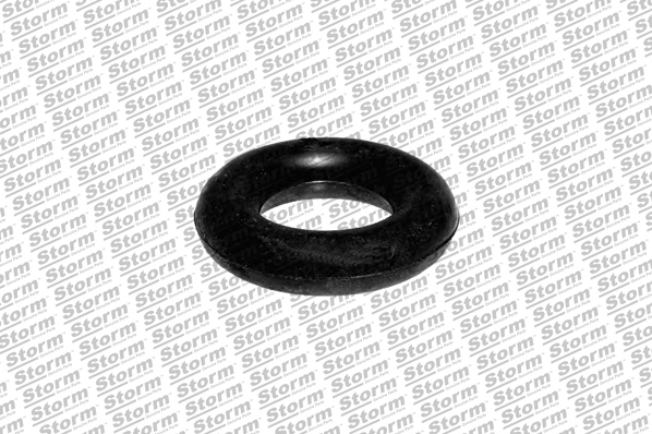 Radiateur, refroidissement du moteur STORM QUALITY PARTS 70502