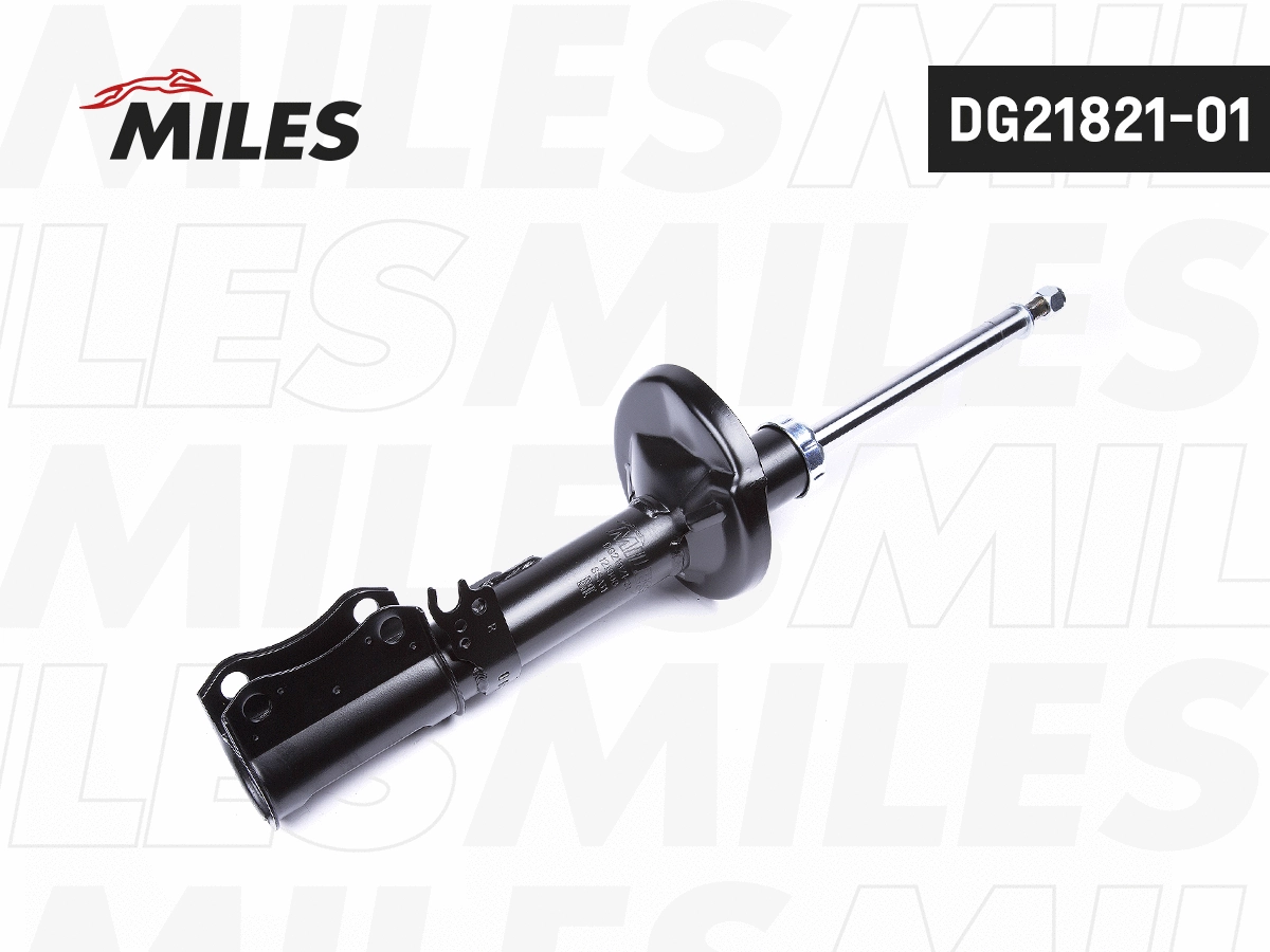 Amortisseur MILES DG21821-01