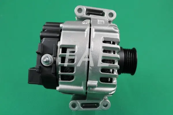 Alternateur FAL Anlasser- und Lichtmaschinenservice F013888/2