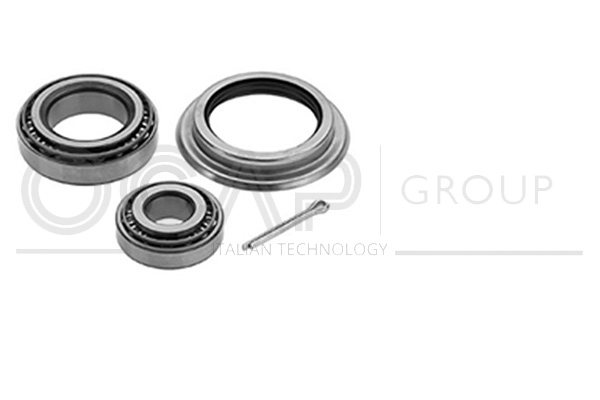 Kit de roulements de roue OCAP 6120116